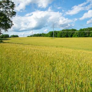 Photo #39 of SOLD property in 12987 Mission Church Road, Locust, NC 65.5 acres
