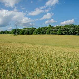 Photo #41 of SOLD property in 12987 Mission Church Road, Locust, NC 65.5 acres