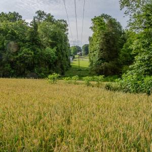 Photo #42 of SOLD property in 12987 Mission Church Road, Locust, NC 65.5 acres