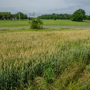 Photo #43 of SOLD property in 12987 Mission Church Road, Locust, NC 65.5 acres