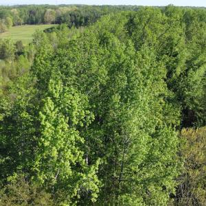 Photo #4 of Off Vista Lindo Ct, Winston Salem, NC 0.5 acres