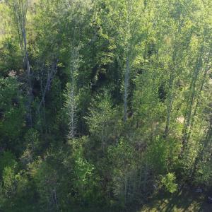 Photo #5 of Off Vista Lindo Ct, Winston Salem, NC 0.5 acres