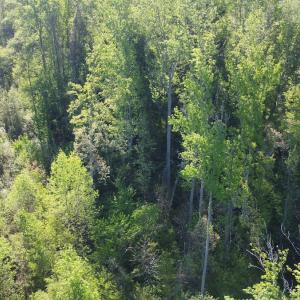 Photo #6 of Off Vista Lindo Ct, Winston Salem, NC 0.5 acres