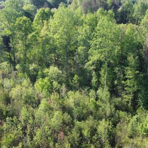 Photo #7 of Off Vista Lindo Ct, Winston Salem, NC 0.5 acres