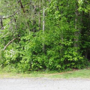 Photo #12 of Off Vista Lindo Ct, Winston Salem, NC 0.5 acres