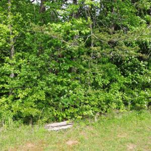 Photo #13 of Off Vista Lindo Ct, Winston Salem, NC 0.5 acres
