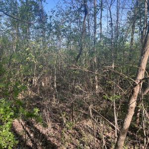 Photo #15 of Off Vista Lindo Ct, Winston Salem, NC 0.5 acres