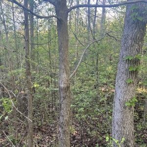 Photo #17 of Off Vista Lindo Ct, Winston Salem, NC 0.5 acres