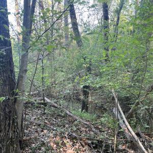 Photo #20 of Off Vista Lindo Ct, Winston Salem, NC 0.5 acres