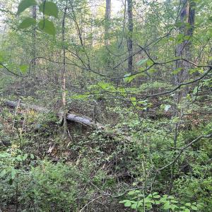 Photo #21 of Off Vista Lindo Ct, Winston Salem, NC 0.5 acres