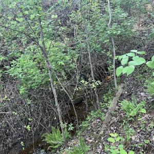 Photo #22 of Off Vista Lindo Ct, Winston Salem, NC 0.5 acres