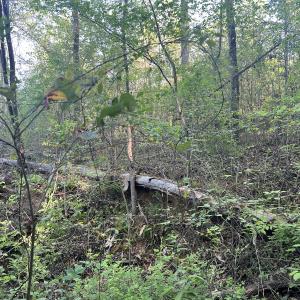 Photo #24 of Off Vista Lindo Ct, Winston Salem, NC 0.5 acres