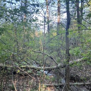 Photo #25 of Off Vista Lindo Ct, Winston Salem, NC 0.5 acres