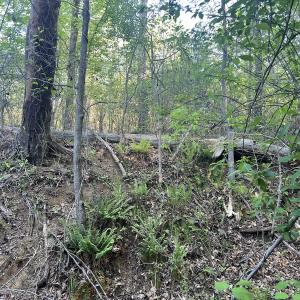 Photo #27 of Off Vista Lindo Ct, Winston Salem, NC 0.5 acres