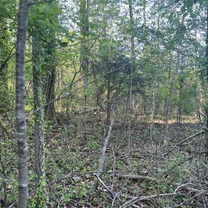 Photo #28 of Off Vista Lindo Ct, Winston Salem, NC 0.5 acres