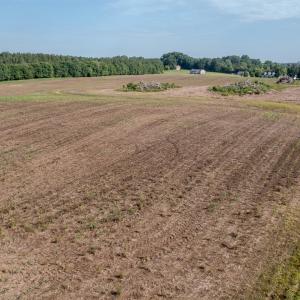 Photo #13 of 10010 Roundtree Road, Mt. Pleasant, NC 61.4 acres