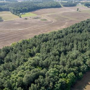 Photo #14 of 10010 Roundtree Road, Mt. Pleasant, NC 61.4 acres