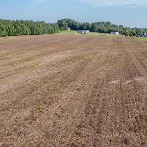 Photo #15 of 10010 Roundtree Road, Mt. Pleasant, NC 61.4 acres