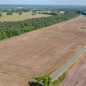 Photo #16 of 10010 Roundtree Road, Mt. Pleasant, NC 61.4 acres