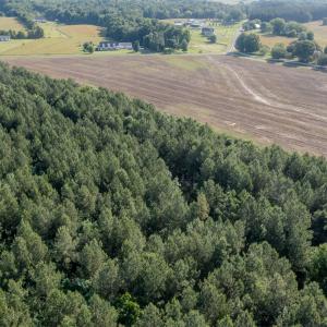 Photo #18 of 10010 Roundtree Road, Mt. Pleasant, NC 61.4 acres