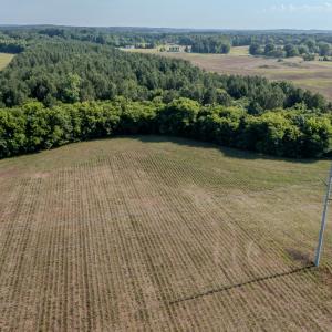Photo #3 of 10010 Roundtree Road, Mt. Pleasant, NC 61.4 acres