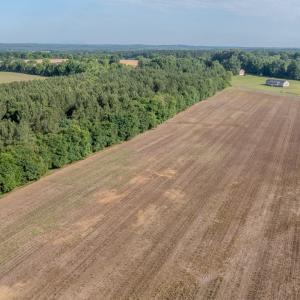 Photo #5 of 10010 Roundtree Road, Mt. Pleasant, NC 61.4 acres