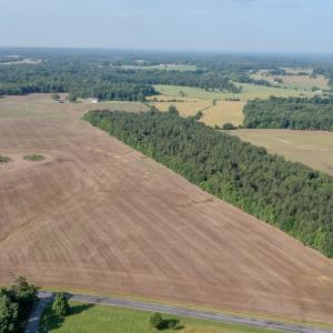 Photo #6 of 10010 Roundtree Road, Mt. Pleasant, NC 61.4 acres