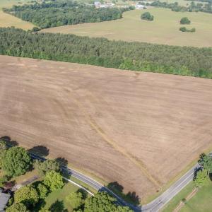 Photo #7 of 10010 Roundtree Road, Mt. Pleasant, NC 61.4 acres