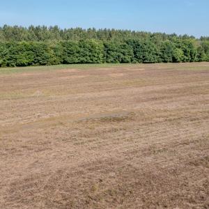 Photo #20 of 10010 Roundtree Road, Mt. Pleasant, NC 61.4 acres