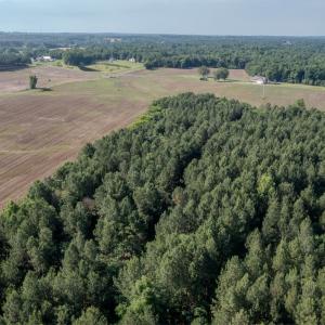 Photo #21 of 10010 Roundtree Road, Mt. Pleasant, NC 61.4 acres