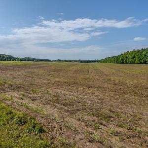 Photo #24 of 10010 Roundtree Road, Mt. Pleasant, NC 61.4 acres