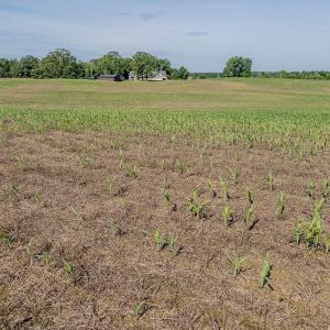 Photo #28 of 10010 Roundtree Road, Mt. Pleasant, NC 61.4 acres
