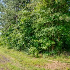 Photo #30 of 10010 Roundtree Road, Mt. Pleasant, NC 61.4 acres