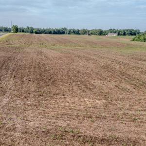 Photo #32 of 10010 Roundtree Road, Mt. Pleasant, NC 61.4 acres