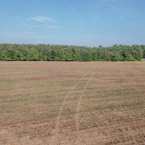 Photo #34 of 10010 Roundtree Road, Mt. Pleasant, NC 61.4 acres