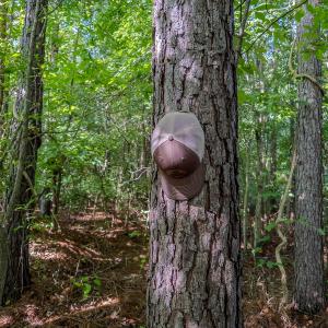 Photo #36 of 10010 Roundtree Road, Mt. Pleasant, NC 61.4 acres
