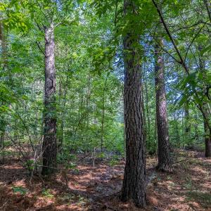 Photo #41 of 10010 Roundtree Road, Mt. Pleasant, NC 61.4 acres