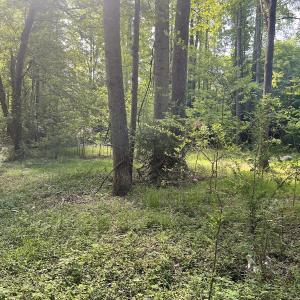 Photo #11 of SOLD property in Off Murray Rd, Winston Salem, NC 0.5 acres