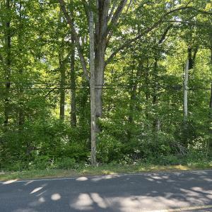Photo #2 of SOLD property in Off Murray Rd, Winston Salem, NC 0.5 acres