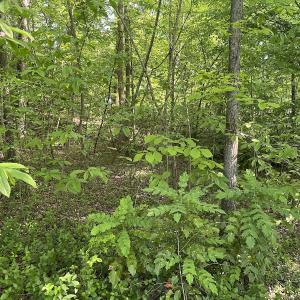 Photo #9 of SOLD property in Off Murray Rd, Winston Salem, NC 0.5 acres