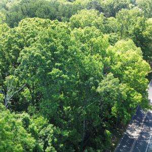 Photo #12 of SOLD property in Off Murray Rd, Winston Salem, NC 0.5 acres