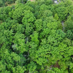 Photo #15 of SOLD property in Off Murray Rd, Winston Salem, NC 0.5 acres