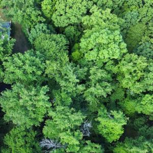 Photo #16 of SOLD property in Off Murray Rd, Winston Salem, NC 0.5 acres