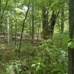 Photo #29 of SOLD property in Off Murray Rd, Winston Salem, NC 0.5 acres