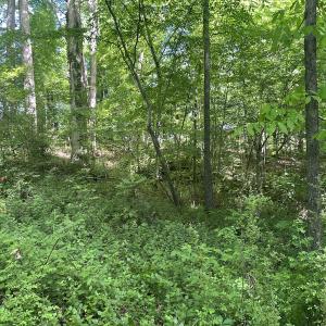 Photo #32 of SOLD property in Off Murray Rd, Winston Salem, NC 0.5 acres