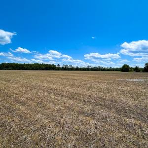 Photo #3 of Off West Rd, Chesapeake, VA 23.6 acres
