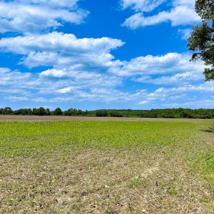 Photo #11 of Off West Rd, Chesapeake, VA 23.6 acres