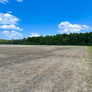Photo #16 of Off West Rd, Chesapeake, VA 23.6 acres