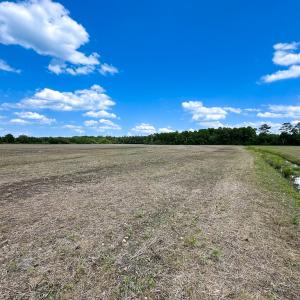 Photo #20 of Off West Rd, Chesapeake, VA 23.6 acres