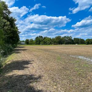 Photo #21 of Off West Rd, Chesapeake, VA 23.6 acres